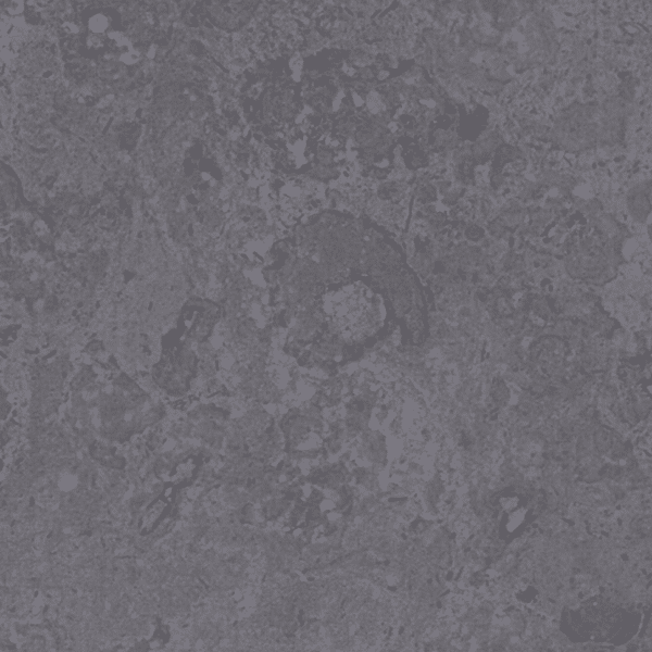 ROYAL GREY MARBLE TILES